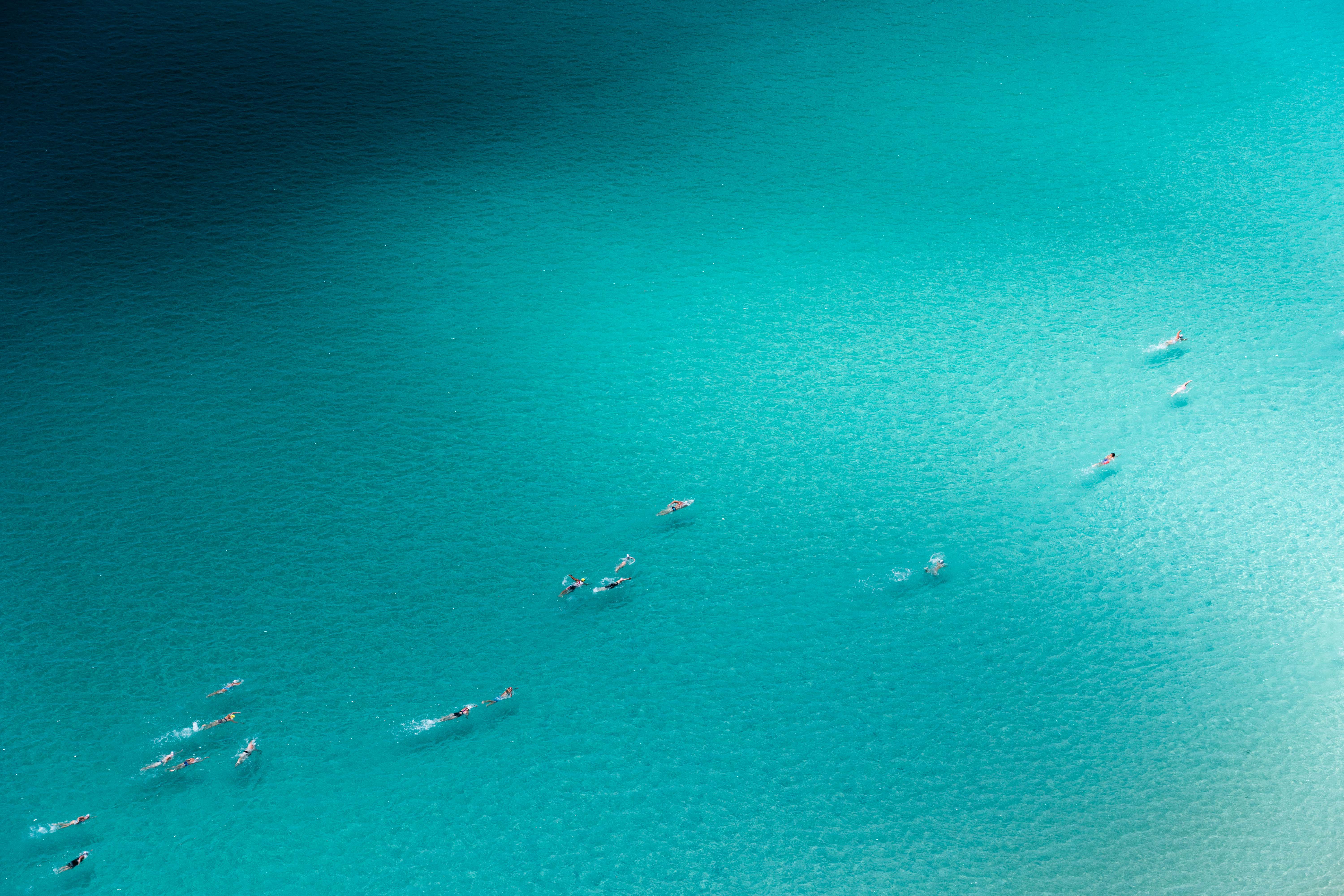 Hamilton Island Whitehaven Beach Swim gallery image 1