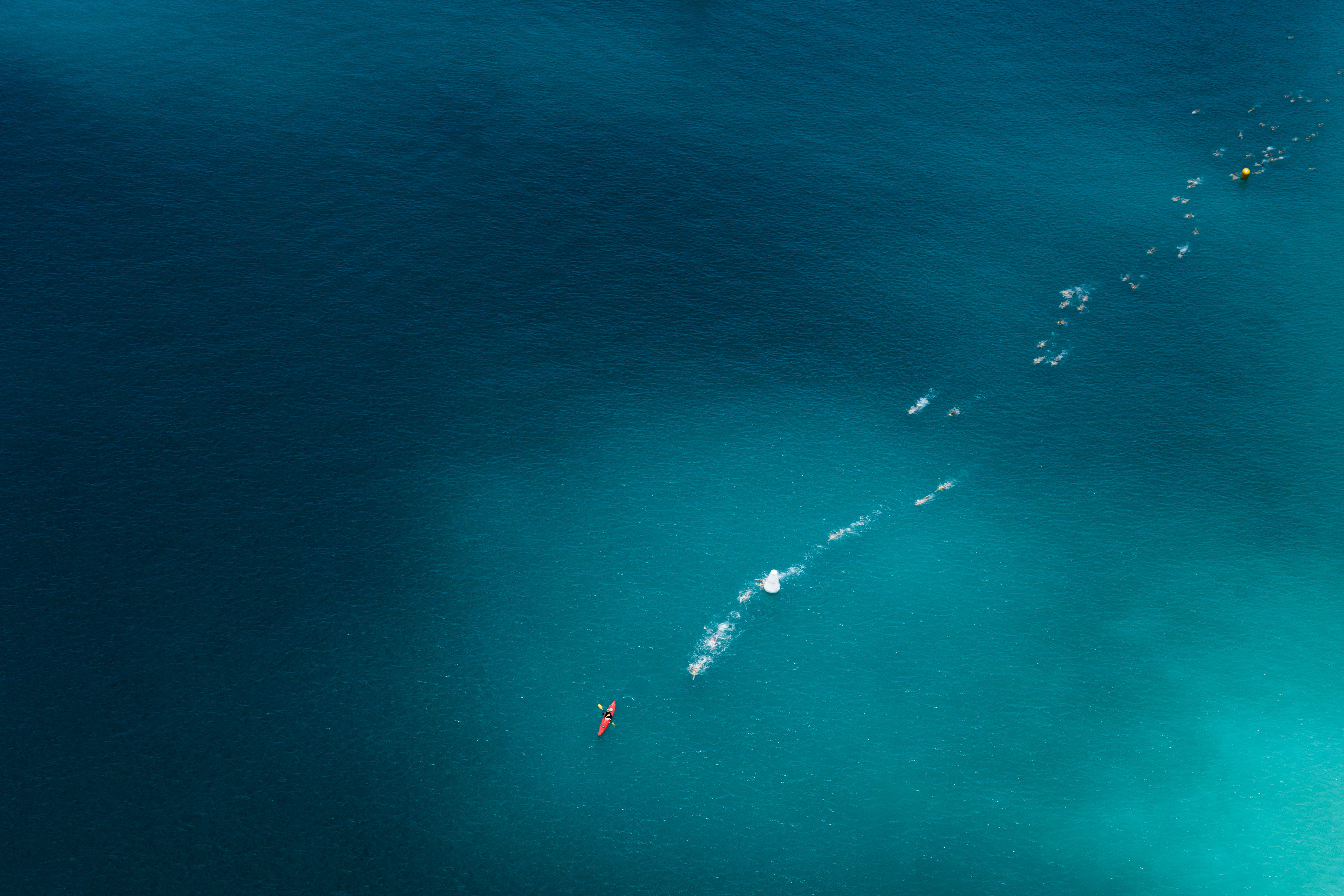 Hamilton Island Whitehaven Beach Swim gallery image 4