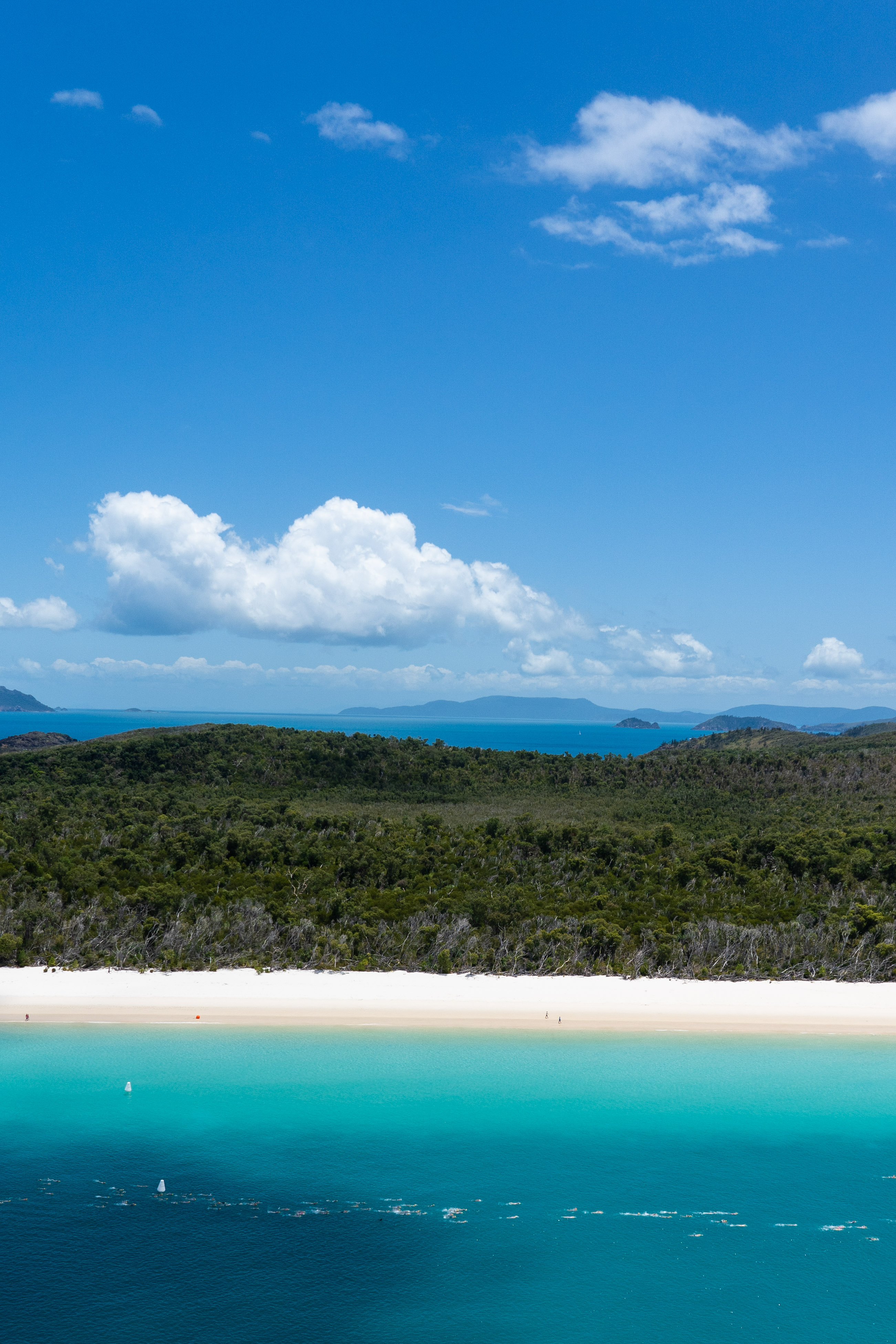 Hamilton Island Whitehaven Beach Swim gallery image 5