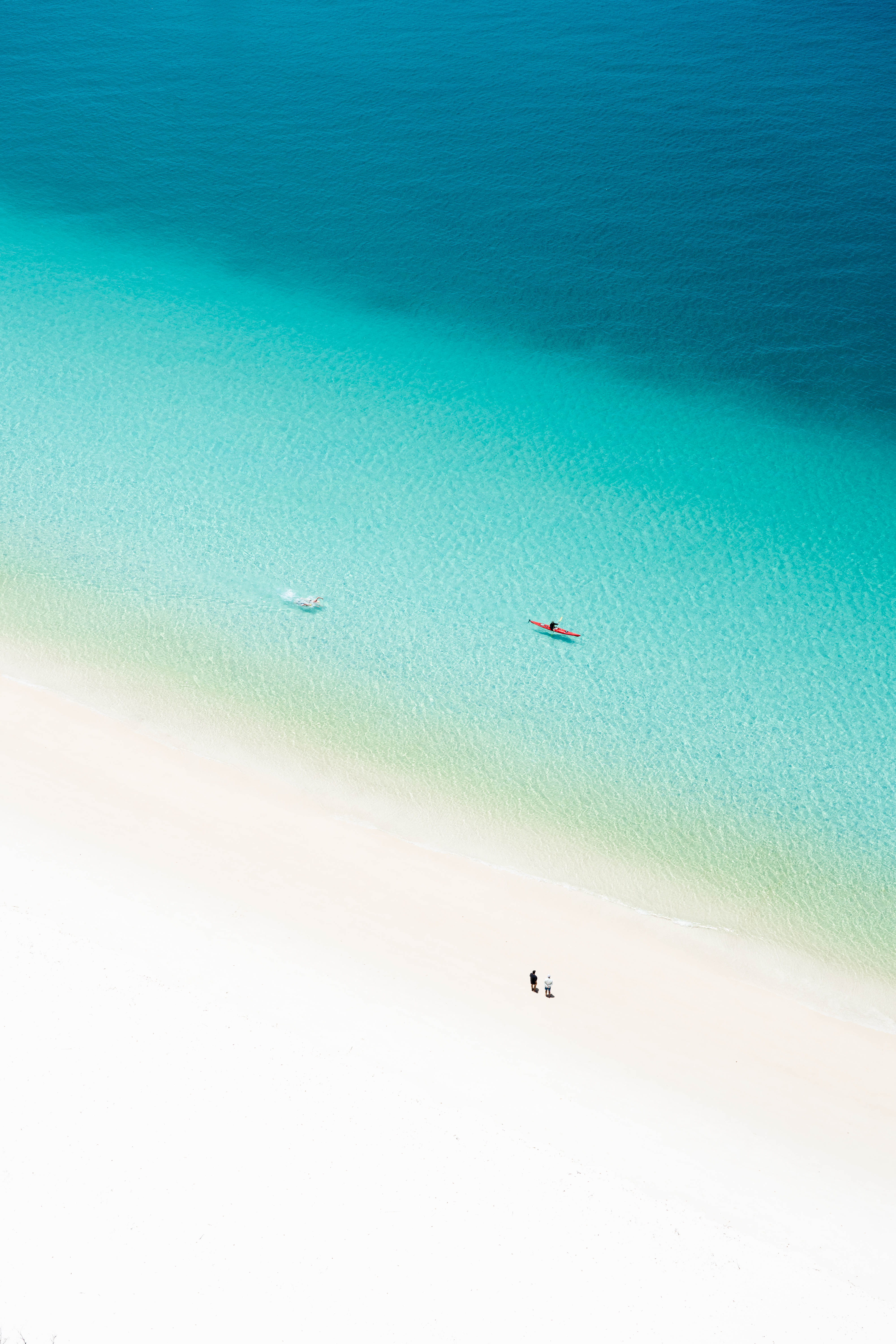 Hamilton Island Whitehaven Beach Swim gallery image 7