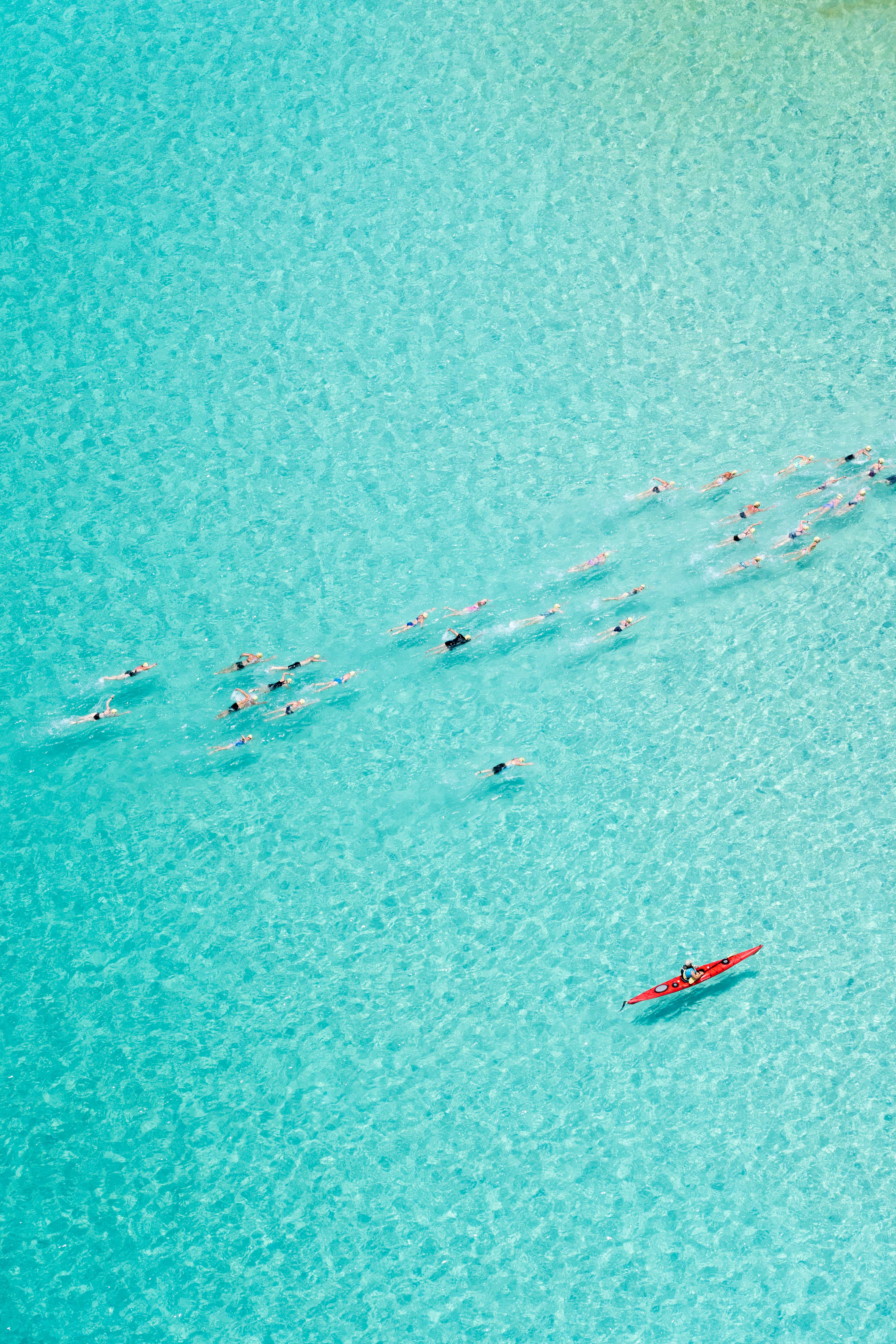 Hamilton Island Whitehaven Beach Swim gallery image 8