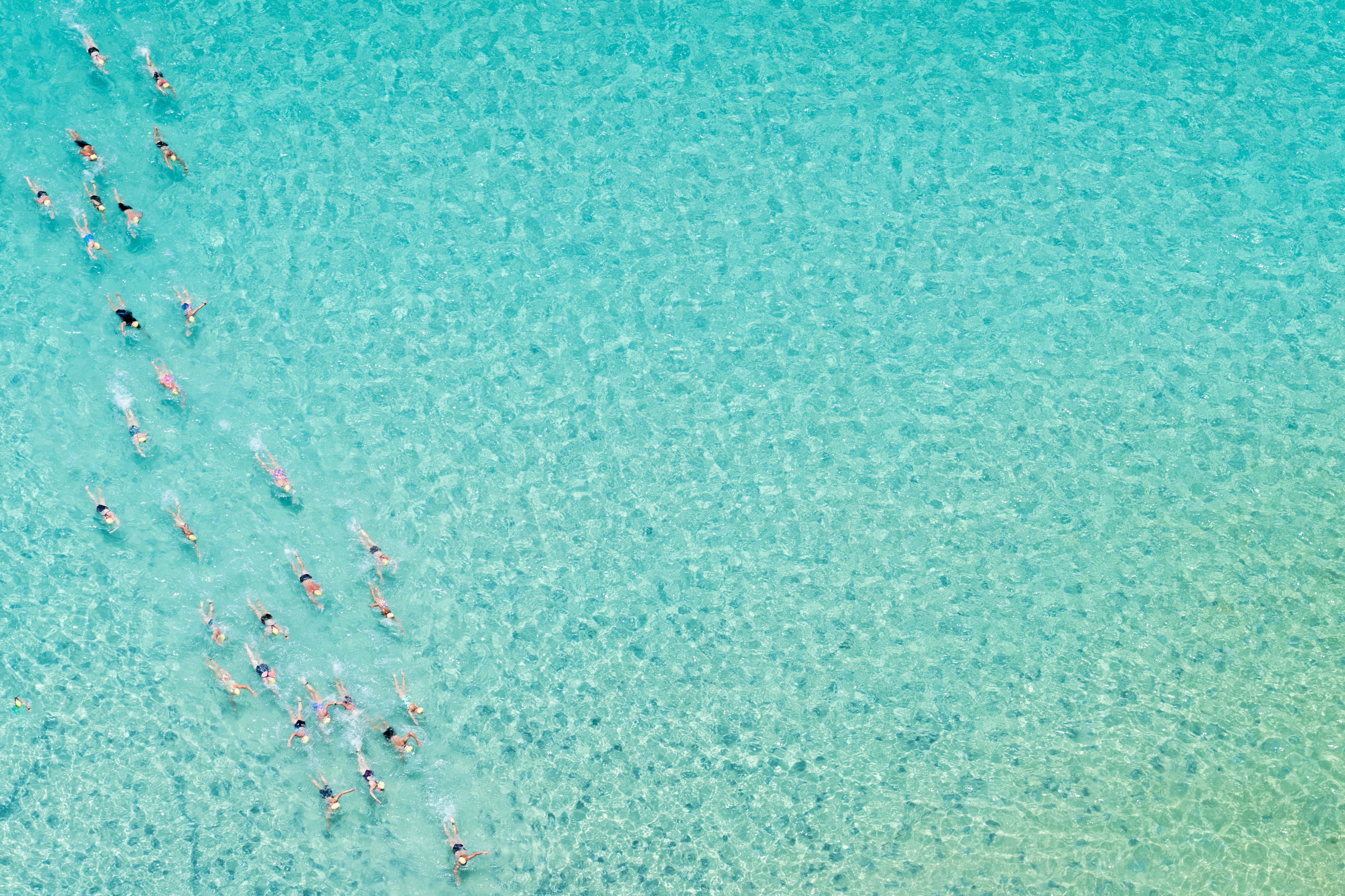 Hamilton Island Whitehaven Beach Swim gallery image 9