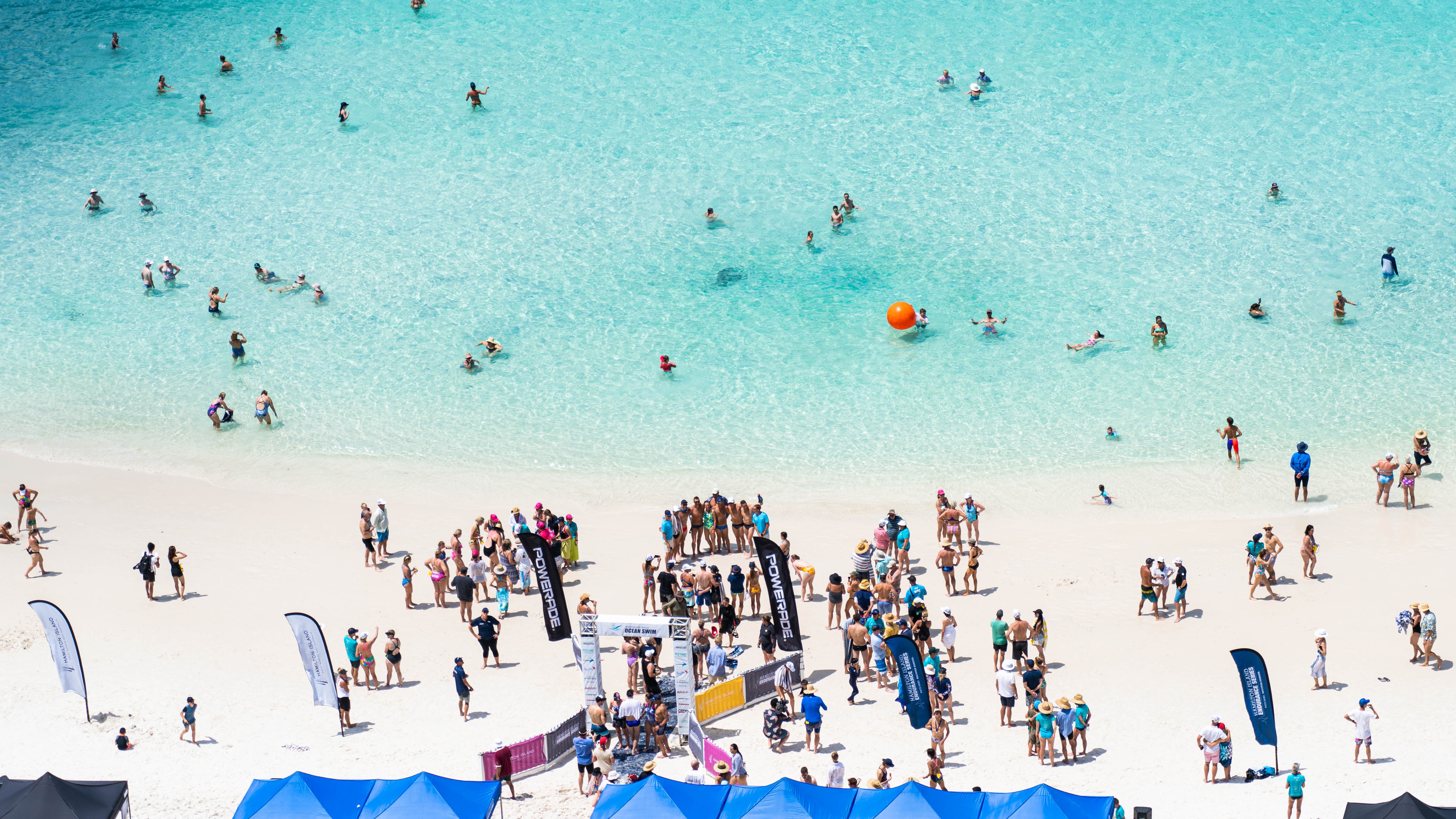 Hamilton Island Whitehaven Beach Swim gallery image 10