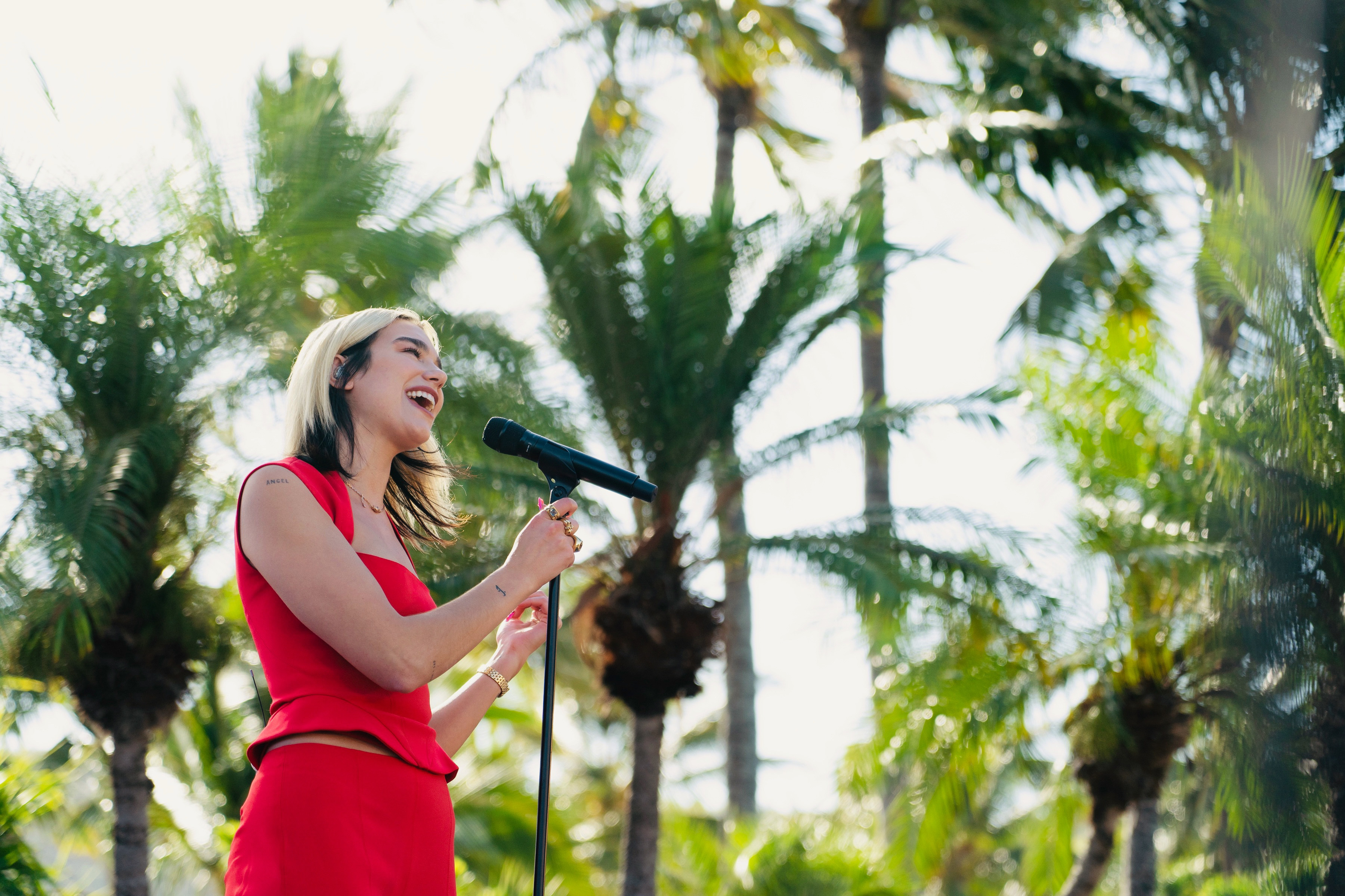 Sunrise x Dua Lipa gallery image 7