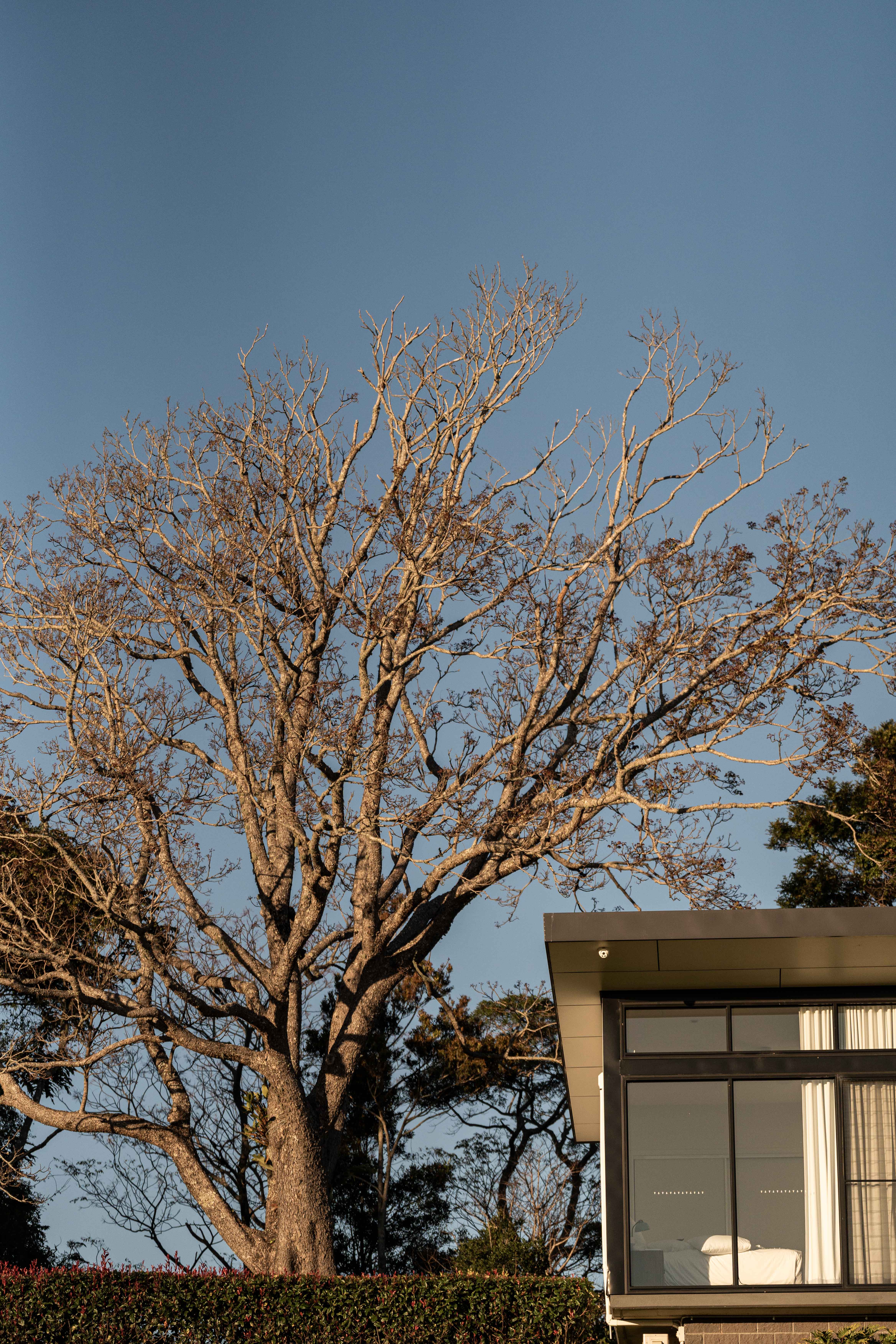 Beechmont gallery image 2