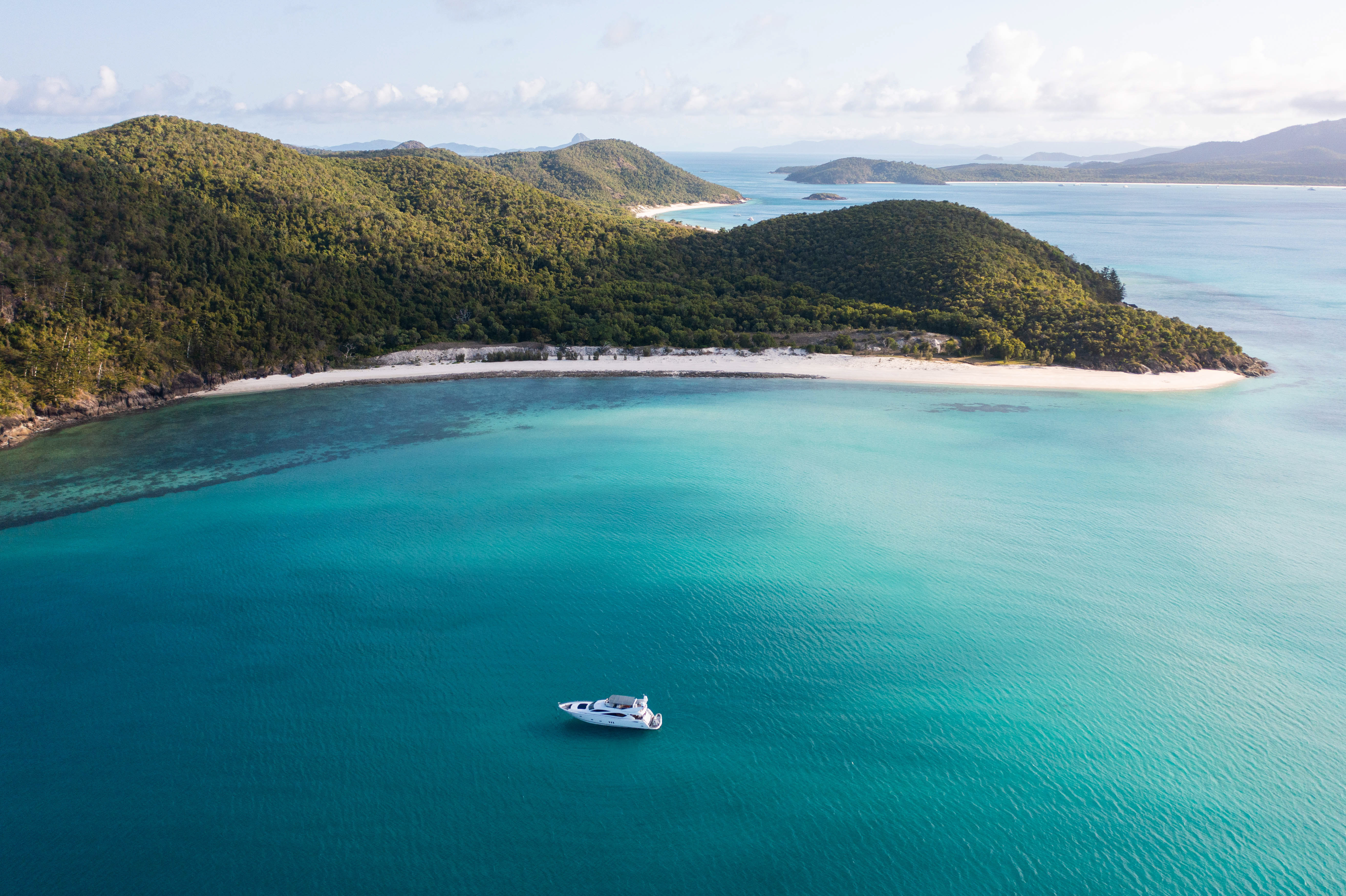 Alani Nu project image